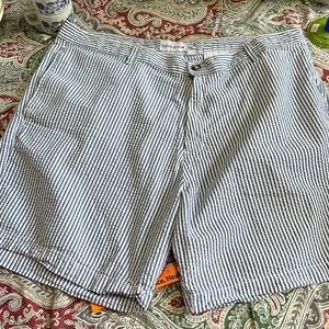 Saddlebred | Shorts | Saddlebred Mens 